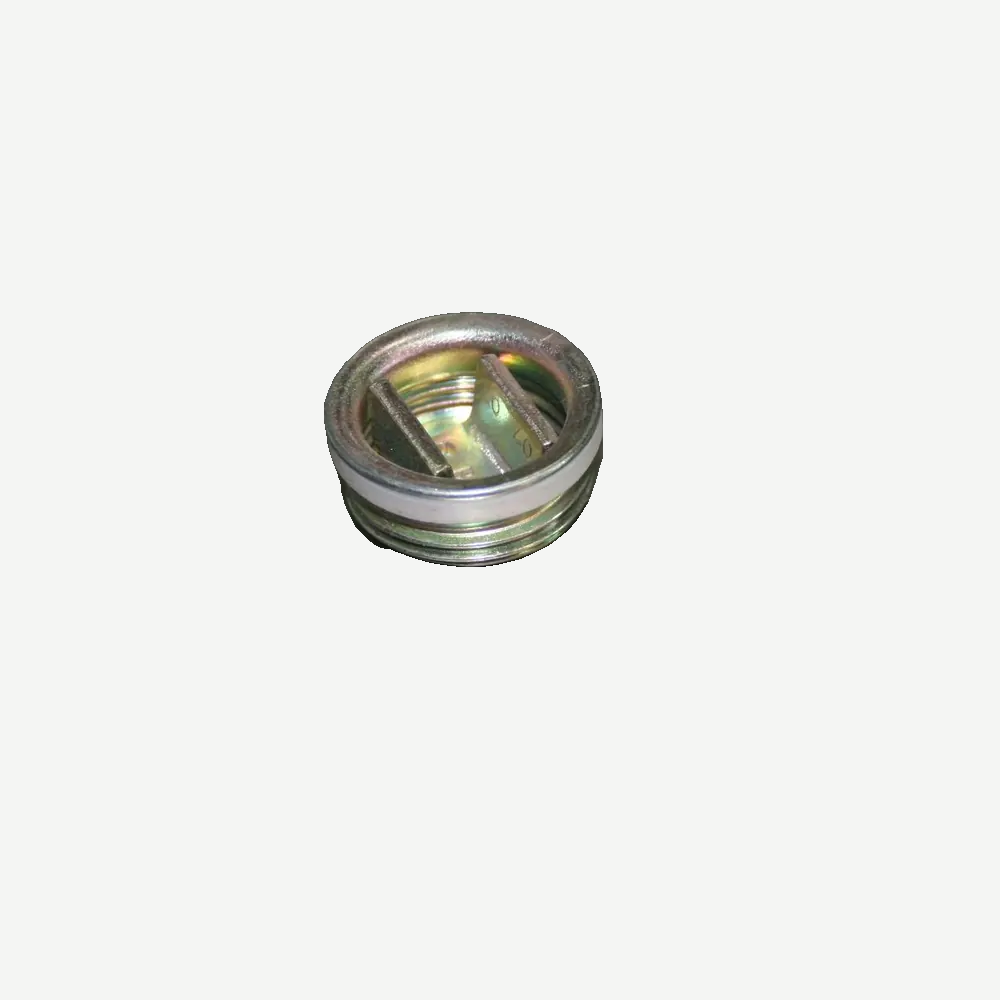 Metal Drum Plug, ¾″, Polyethylene — 3LTPI2
